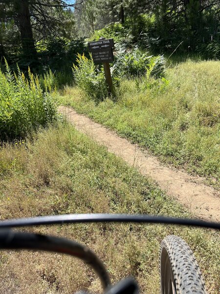 trail intersection