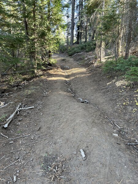 trail by the lake