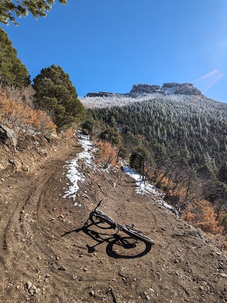 Bike laying on the final switchback at the top of Shady Woods.