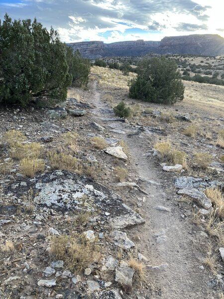 Beginning rocks queens way