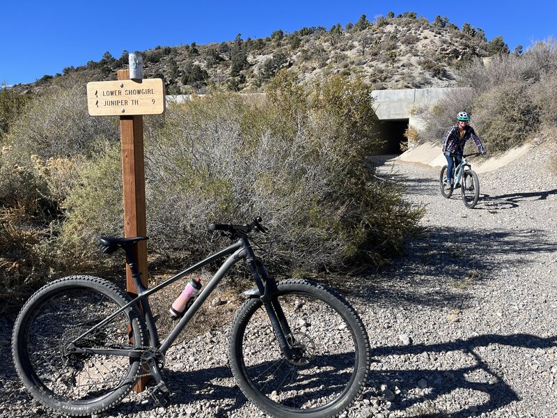 Bottom of Lower Showgirl trail.