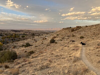 Overlook vista.