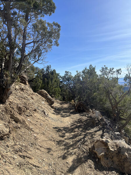 The terrain of Turtle Traverse.