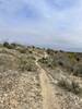 Trail towards Bells Point.