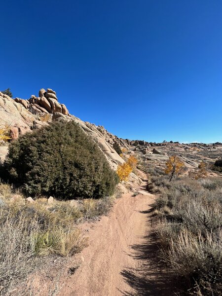 Good views along Behind the Rocks trail with some alternate lines close to the rocks.