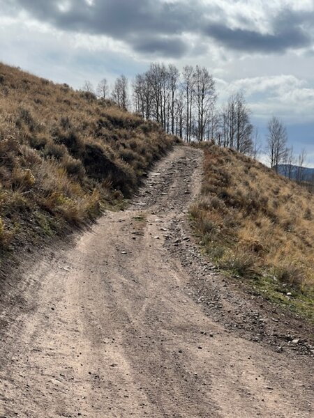 Just past the gate headed up rd 736.