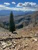 Viewpoint overlooking Ohio Pass