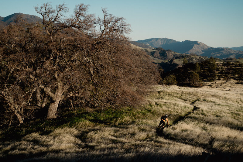 Quintessential California.