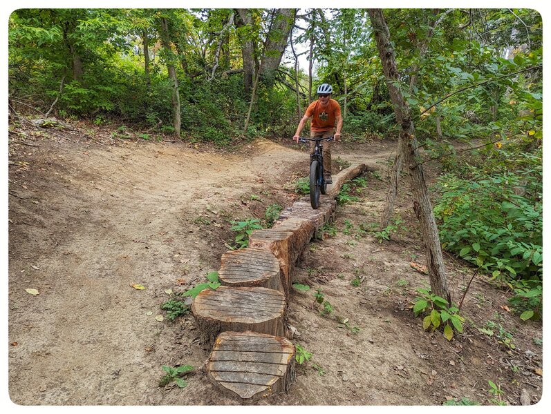 One of many features that can be found on the Red Cedar .. mixed log ride/skinny.