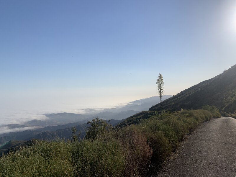 Views of inversion marine layer over the Pacific Ocean