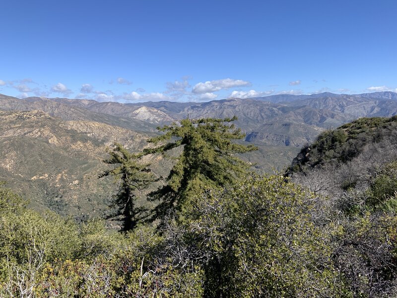 Views into the Los Padres.