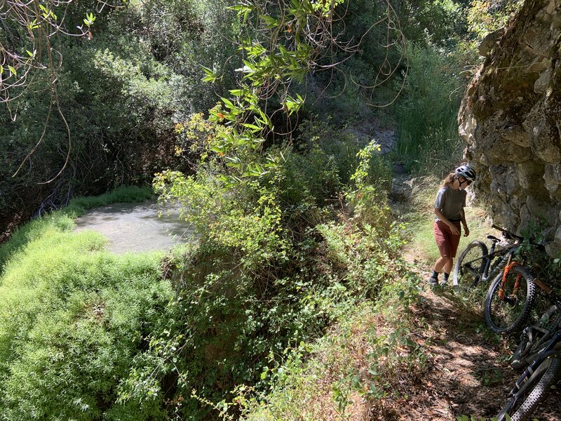 Travertine grotto trailside.