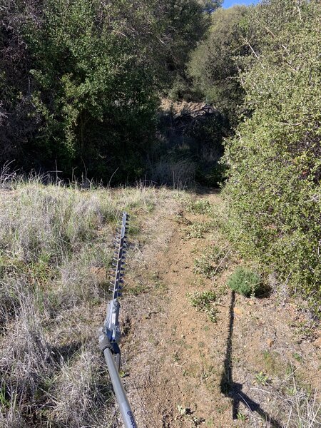 Brushing trail.