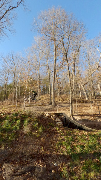 The large step up jump concluding Mad Hatter trail.