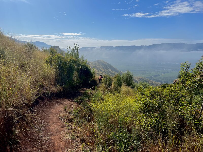 Views on Foothill Trail