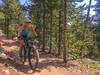 Mountain biking Upper Brewers Trail Lander Wyoming.