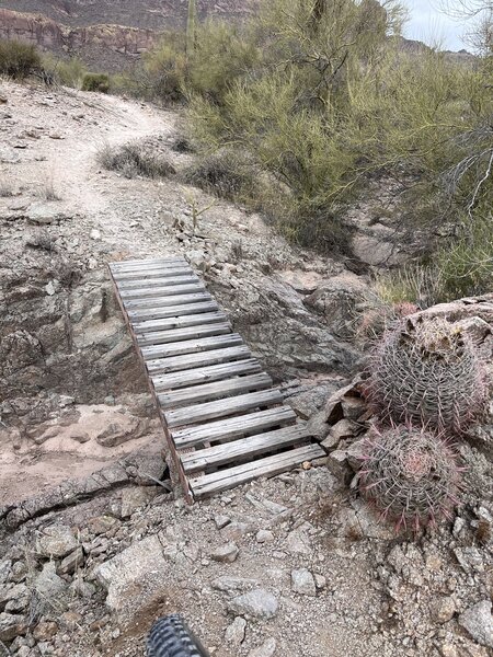 Wood bridge feature.