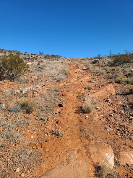 T-Bone. Moderately steep, technical climb near one end of the trail.