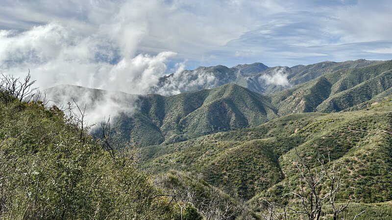 Top section of trail