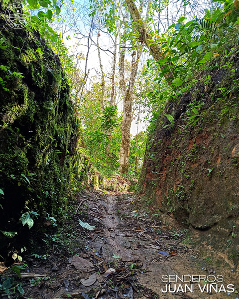 In the "El Encajonado" trail.