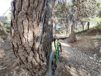 Sendero sobre el Barranc dels Col·legials.