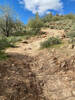 Look up at the eastside of the Cat Peak Pass. It is a hike a bike!