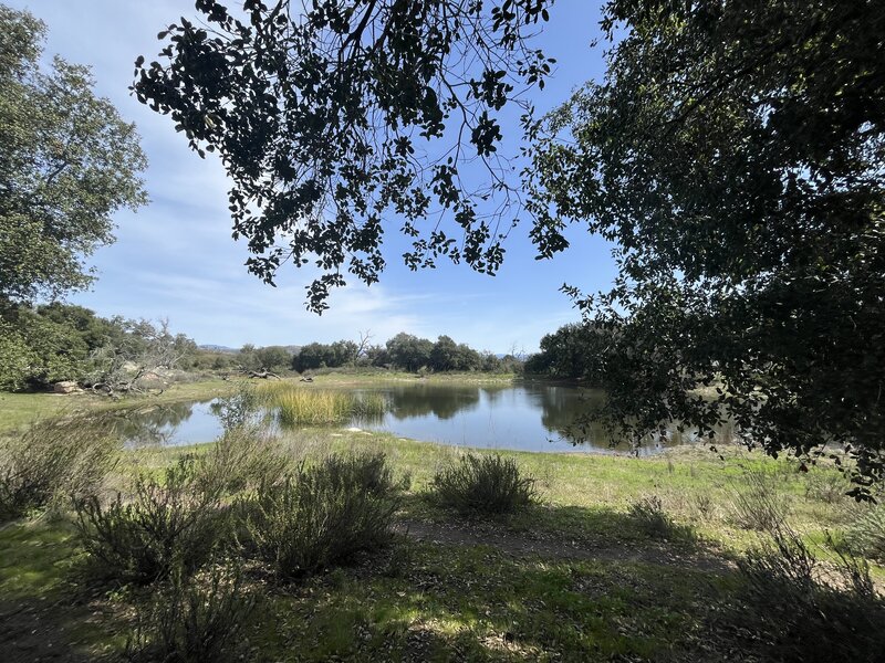 Small lake off Wildflower Loop