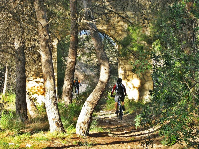 Sendero en el Barranc dels Bellots