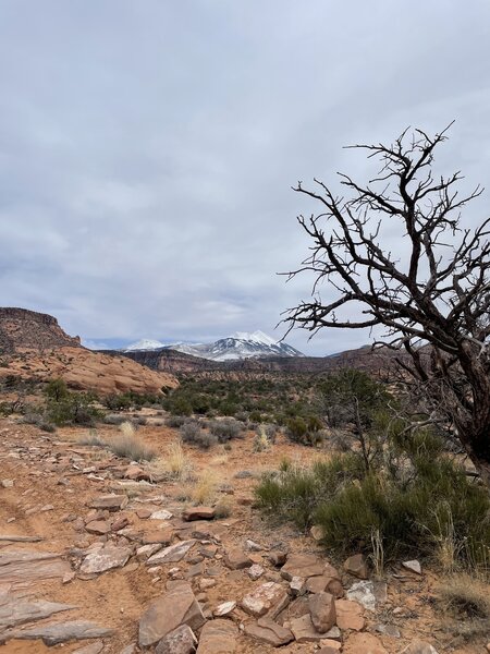 Beautiful views, but energy sucking terrain