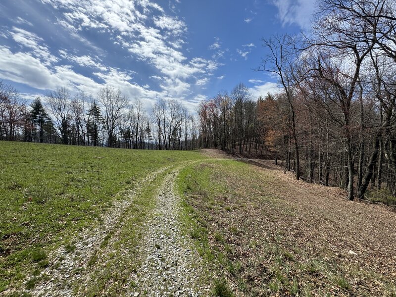 Nice clearing on Martin Branch descent