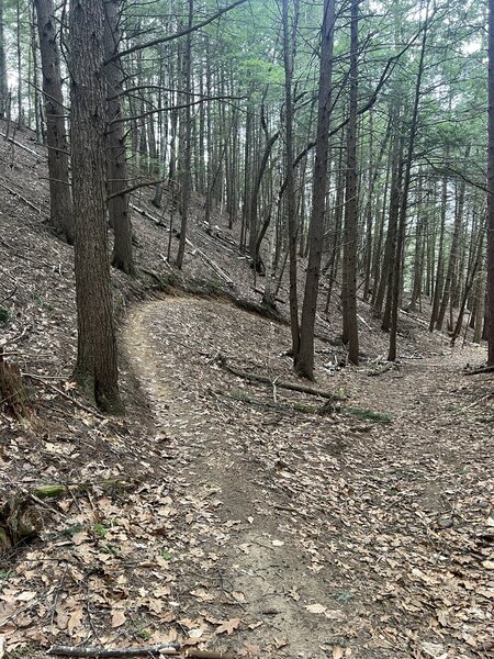 Bottom of the trail - Quite fun, but short.