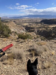 and a GRAND Mesa in the distance