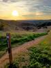 Sunlight reflecting off the distant Pacific Ocean. The trails of Santiago Oaks and Irvine Regional Park are a treasure.