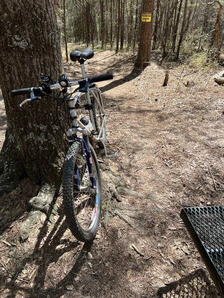 Break Time at the metal bench