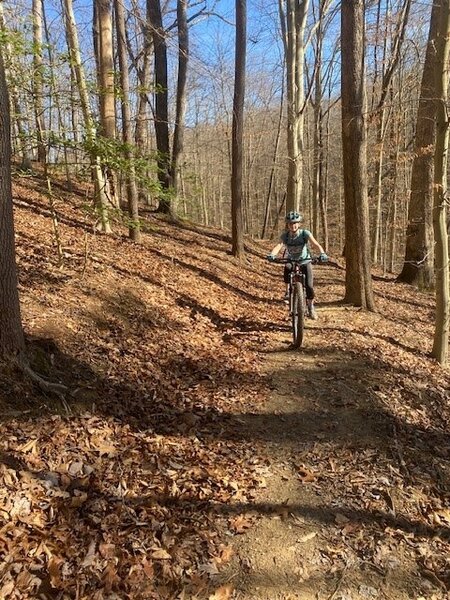 Cyclist on Deer Lick Trail