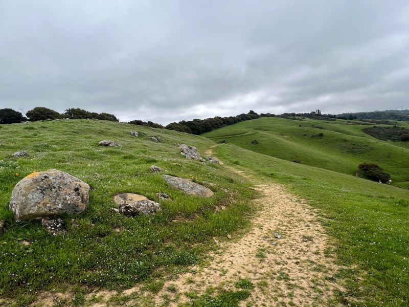 At roughly mile 13 (looking north) east of Chetwyn Farm, before steep (but short) downhill section.