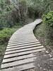 This image shows the biggest wooden bridge in Steiner Ranch located on the path of the trail.