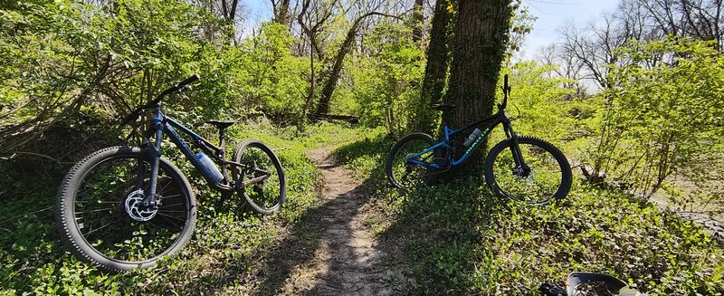 Bikes at the bottom of lowline