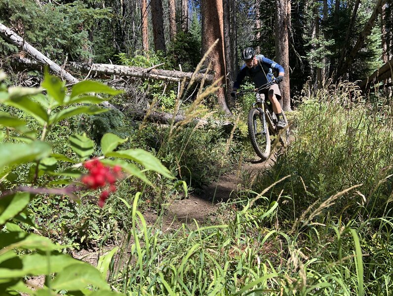 Marcel descending the upper section of Starvation Creek