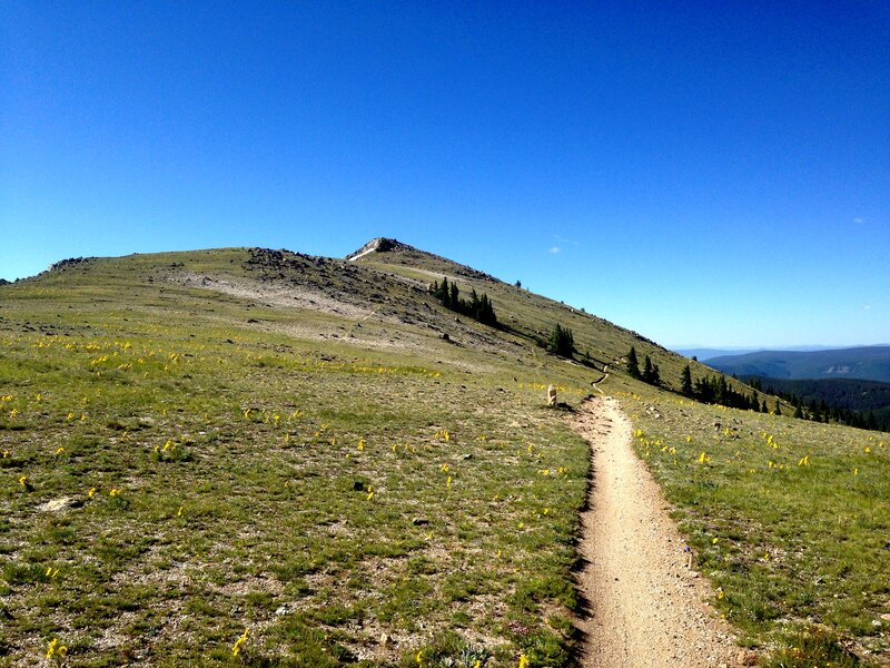 Below Peel Point on the Monarch Crest.