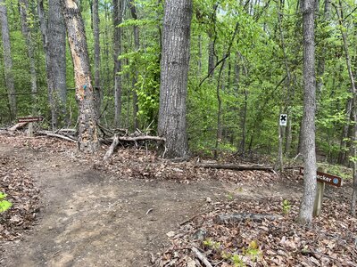 Trailhead at the end of Old Butts Trail.