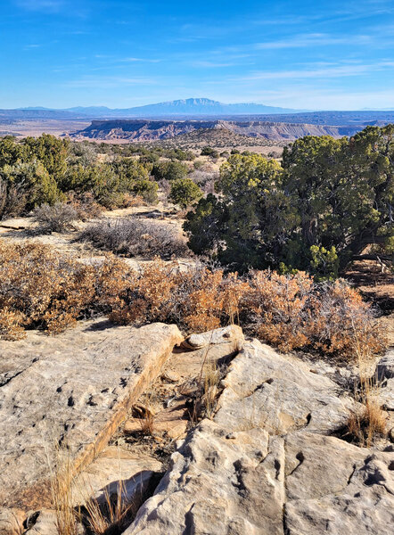 Looking out east towards White Mesa and the Sandia Mountains.