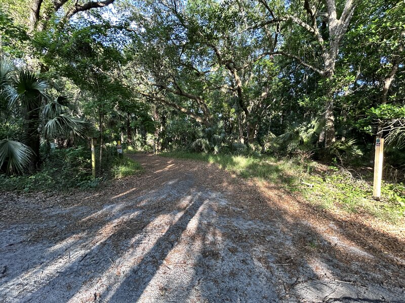 Intersection of Flagler Trail, Access Road, and the western entrance/exit of 2 Bridges.