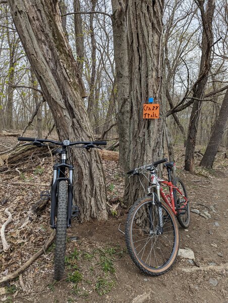 New trail sign