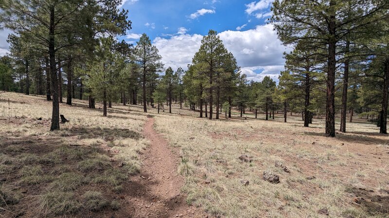 Going east to west on trail.