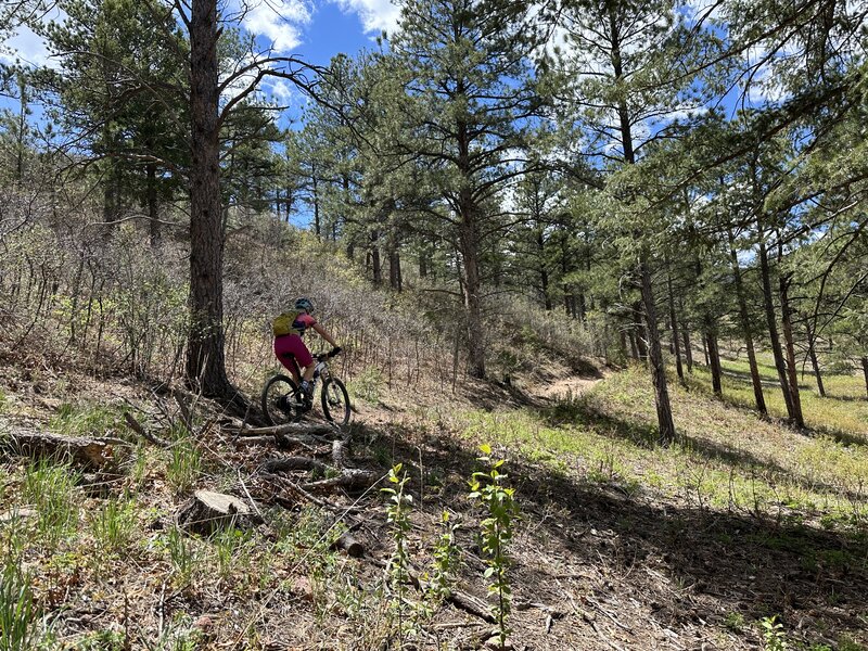 It's a steep little climb up to the road.