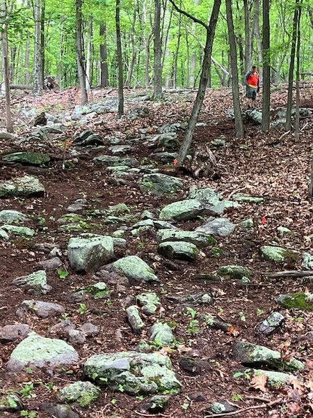 Looking up at some of the rocks on Party On!