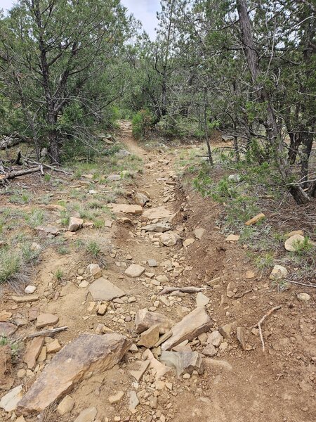 Canyon trail is rocky.