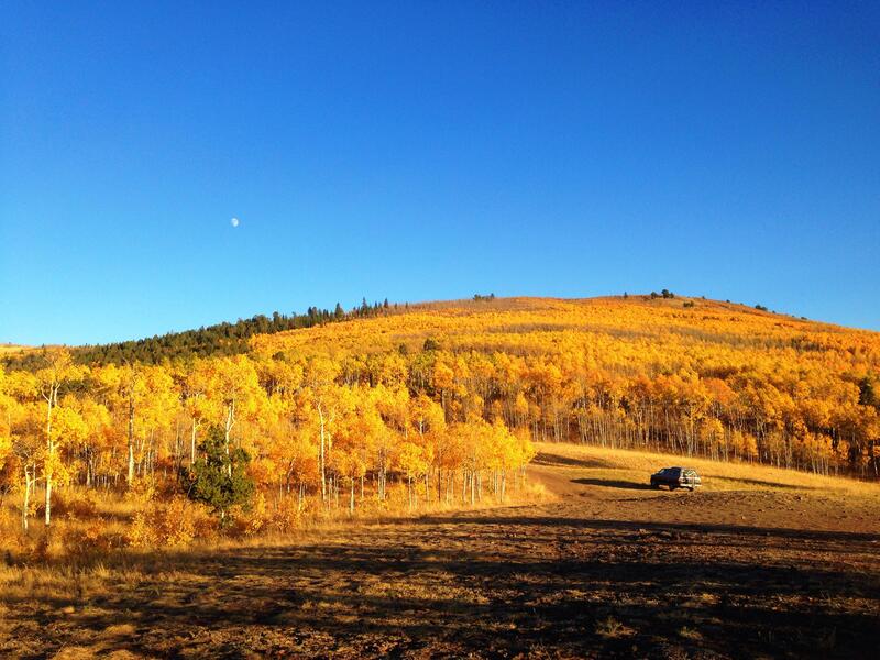 Aspen Ridge in the fall.