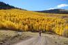 Aspen Ridge in the fall.